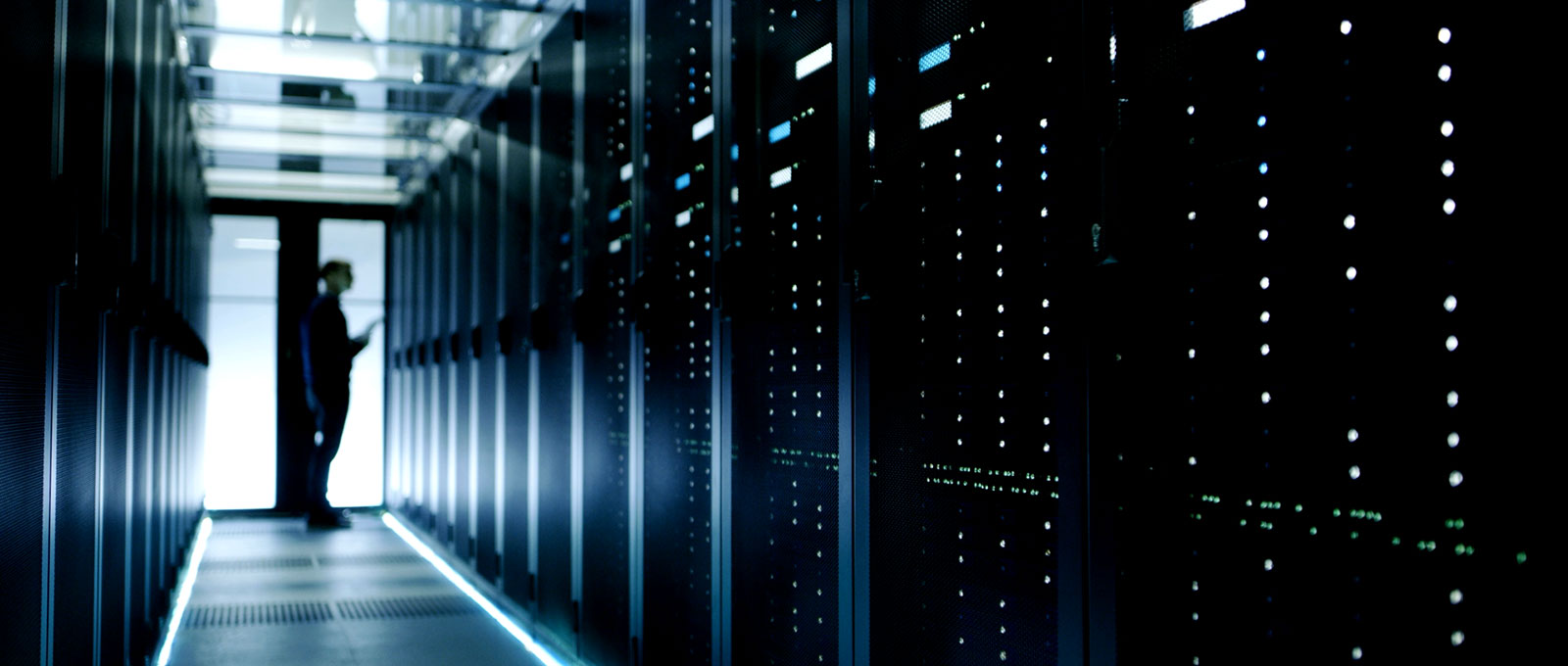 防止啮齿动物和松鼠进入数据中心