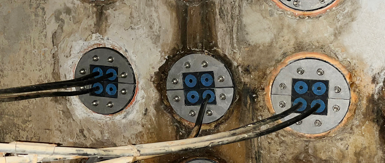 Roxtec 助力巴斯夫 110kV 电力系统改造