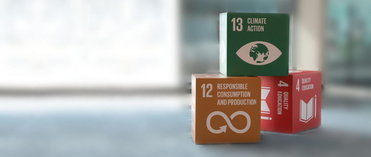 最大限度地减少对环境的影响