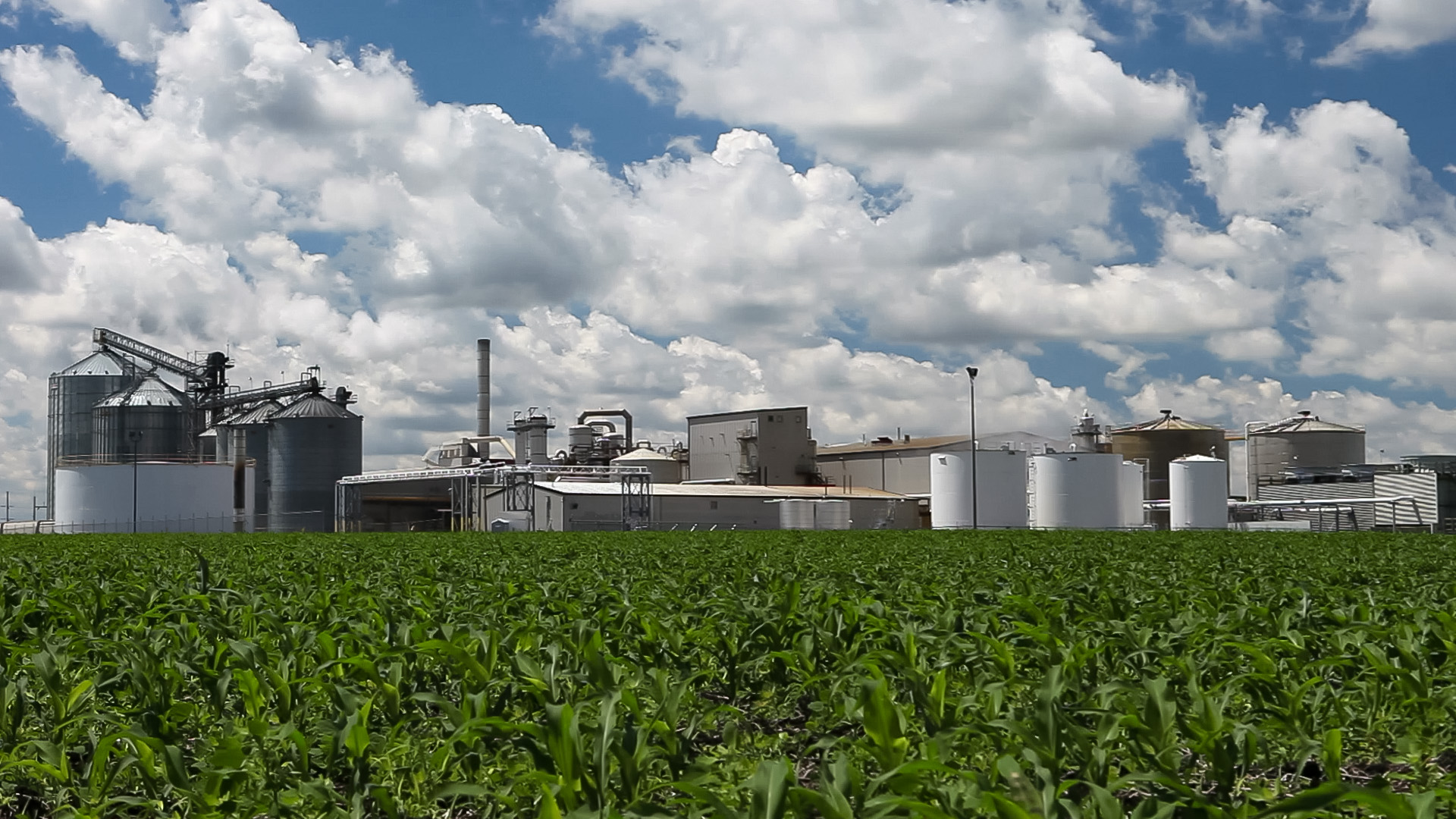 确保过程工业实现脱碳