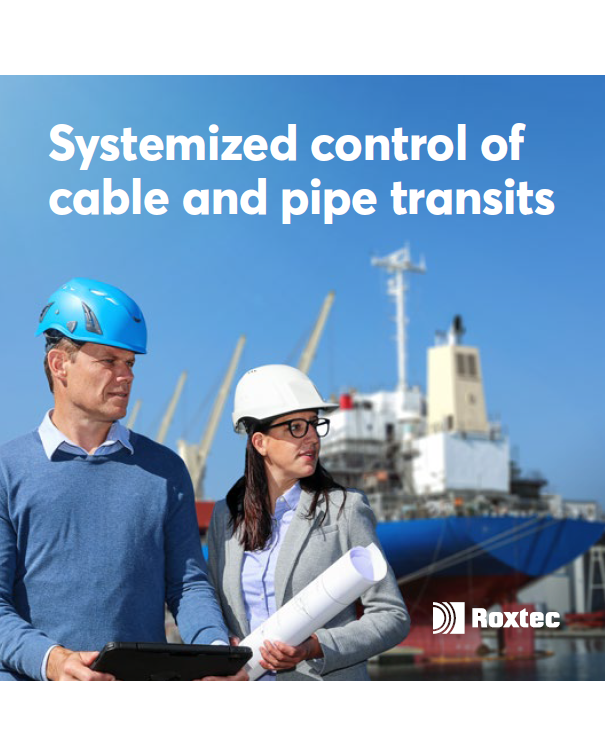 检查和质量控制